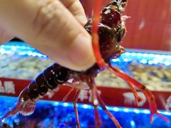 -四囍码头海鲜烧烤自助火锅(外滩南京东路悦荟广场店)