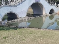 -尚贤河湿地