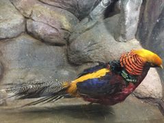 -福州罗源湾海洋世界旅游区