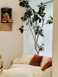 -WENDY·温迪皮肤管理