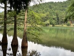 -四明山国家森林公园
