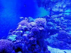 -成都浩海立方海洋公园