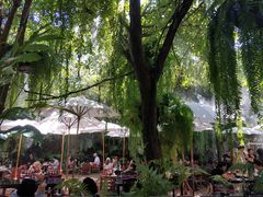 -Fern Forest Cafe