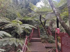 -赤水丹霞旅游区·佛光岩