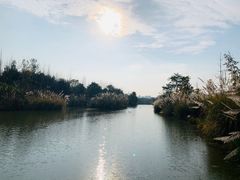 -白鹭湾湿地公园