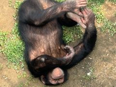 -西霞口神雕山野生动物世界