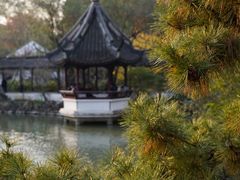 -上海醉白池公园