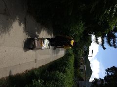 iphone_upload_pic-南丫岛