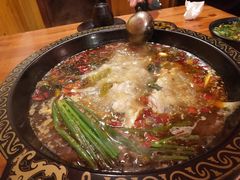 -三道苗苗鱼·美蛙黄辣丁(八里店)
