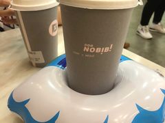-NOBiBi