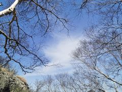 -白草畔自然风景区