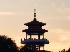 -黑龙江扎龙生态旅游区