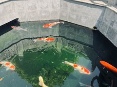 -西安市广仁寺
