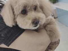 -北京观赏动物医院·24小时大型综合·猫专科·异宠专科