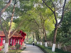 -沙市市中山公园