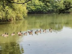 -长兴太湖图影湿地文化园