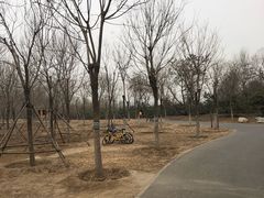 -东郊湿地公园