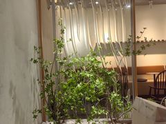 -喜茶(广州保利中环店)