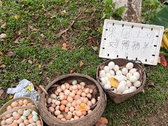 -凤岗南门山森林公园