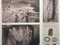 -洛阳古墓博物馆