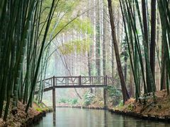 -同里国家湿地公园