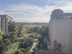 -上海崇明金茂凯悦酒店