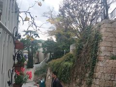 -神户六甲牧场(北野本店)