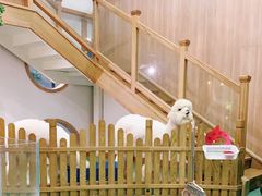 -藦茜花园宠物主题亲子互动体验馆(国顺东路店)