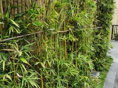 -广州从化都喜泰丽度假酒店温泉