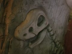 -南湖梦幻岛