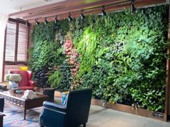 -泽云梵莲花足浴 按摩 SPA(滨湖店)