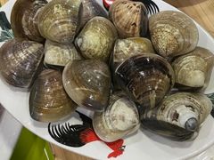 -牛排王糟粕醋火锅(海甸分店)