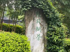 -十八棵（老龙井）御茶园(老龙井店)