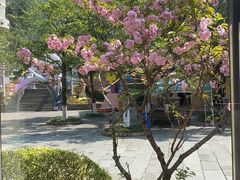 -重庆南山海昌汤都