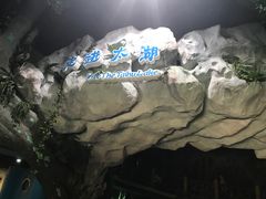 -苏州海洋馆