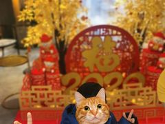 -粤界(望京金辉店)