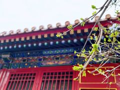 -峨嵋酒家(地安门店)