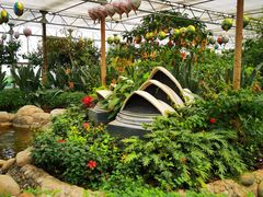 -南宫五洲植物乐园