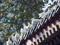 -西安大兴善寺