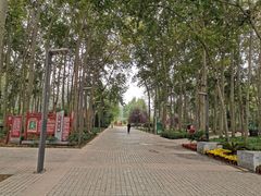 -仁和公园(顺义区)