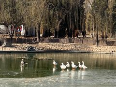 -南宫五洲植物乐园