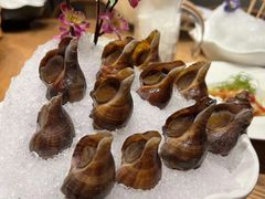 -尚海豆捞(乐虹坊店)