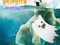 -海合安成都极地海洋公园