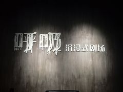 -呼吸沉浸式剧场(甘露园店)