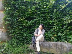 -杏花村文化旅游区