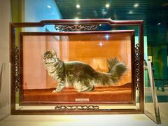 -浙江省博物馆(孤山馆区)