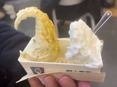 -野人先生Gelato(上海长宁龙之梦店)