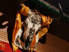 -吉祥圣雪藏餐