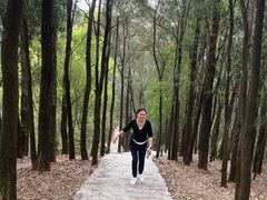 -滴水岩森林公园