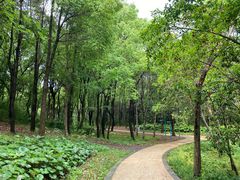 -昆山城市生态森林公园